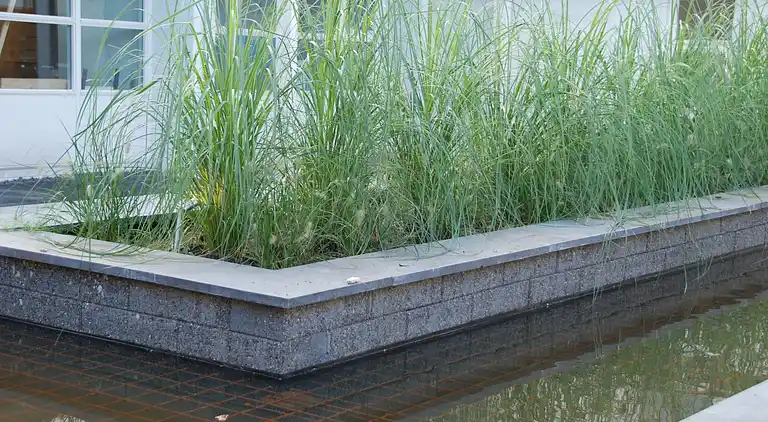 Apartment in Schiermonnikoog