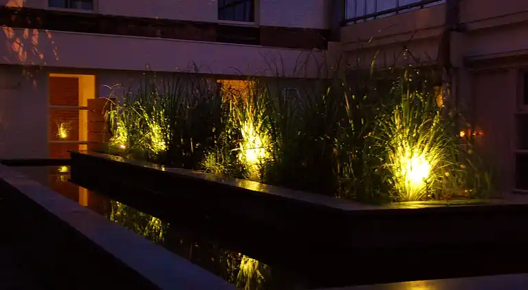 Apartment in Schiermonnikoog