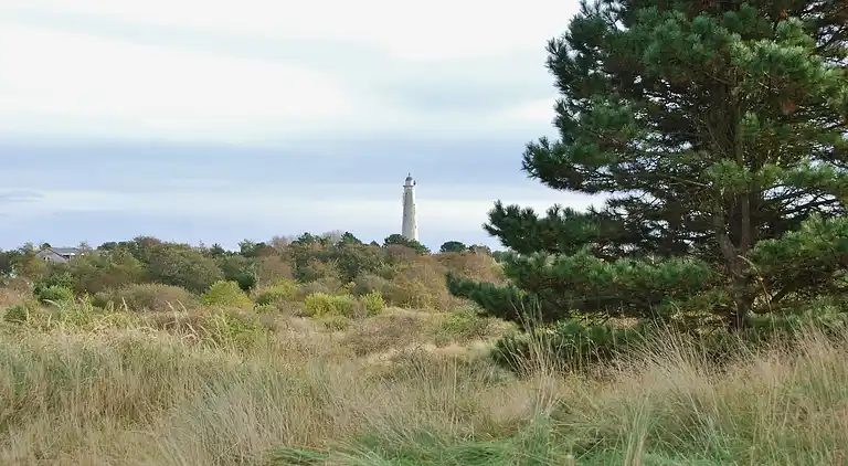 Apartment in Schiermonnikoog