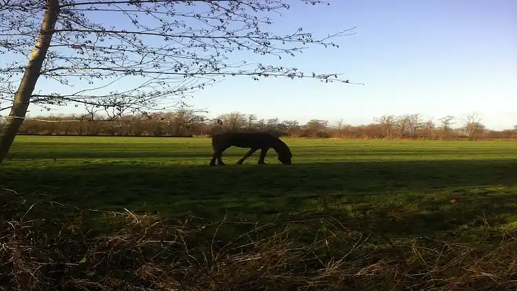 Bungalow in Eastermar