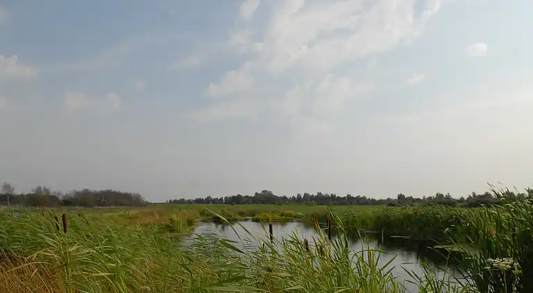 Bungalow in Earnewâld