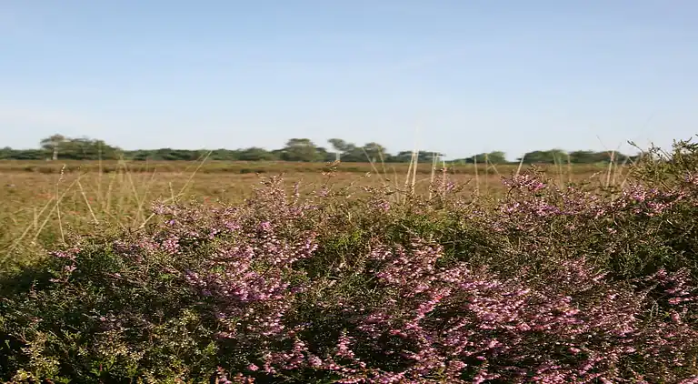 Semesterbostad i Hooghalen