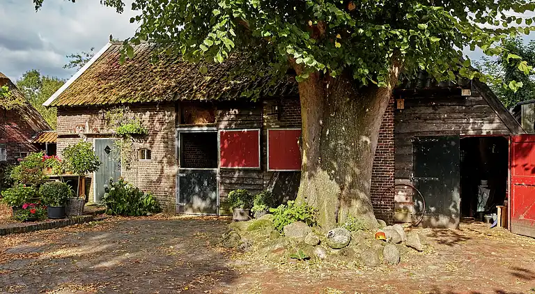 Bondgård i Eexterzandvoort