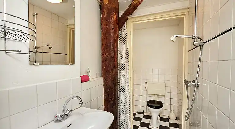 Bondgård i Eexterzandvoort