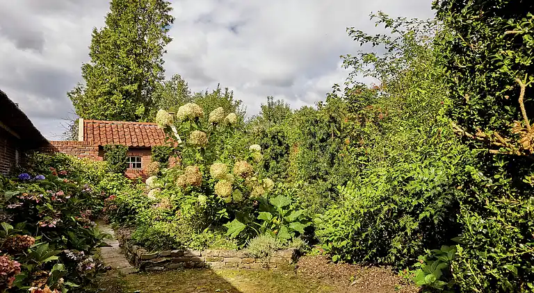 Bondgård i Eexterzandvoort