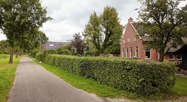 Bondgård i Eexterzandvoort