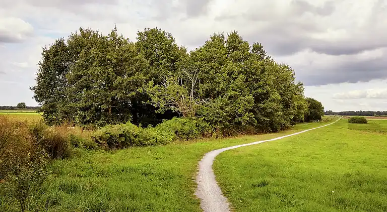 Bondgård i Eexterzandvoort