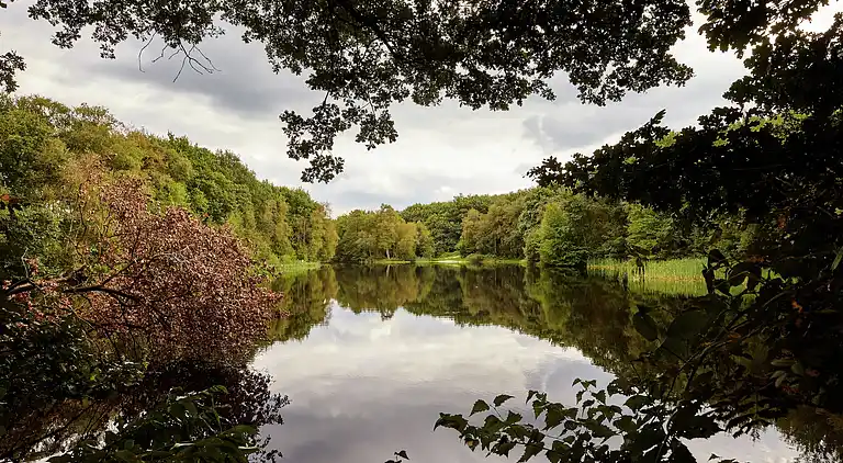 Bondgård i Eexterzandvoort