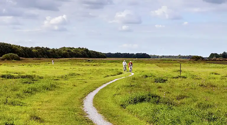 Bondgård i Eexterzandvoort