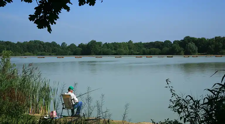 Holiday home in Tynaarlo