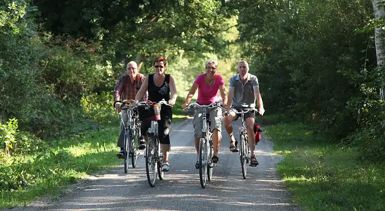Semesterbostad i Tynaarlo