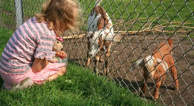 Semesterbostad i Tynaarlo