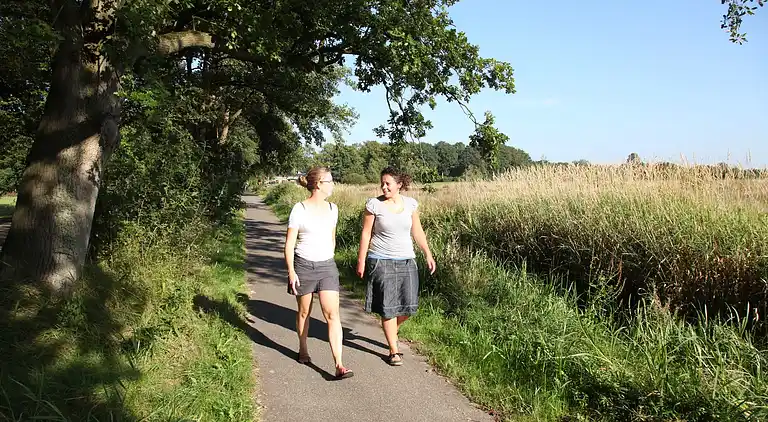 Semesterbostad i Tynaarlo