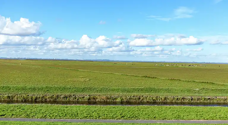 Sommerhus i Finsterwolde