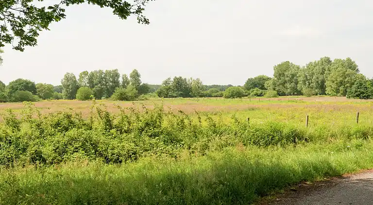Holiday home in Hollandscheveld