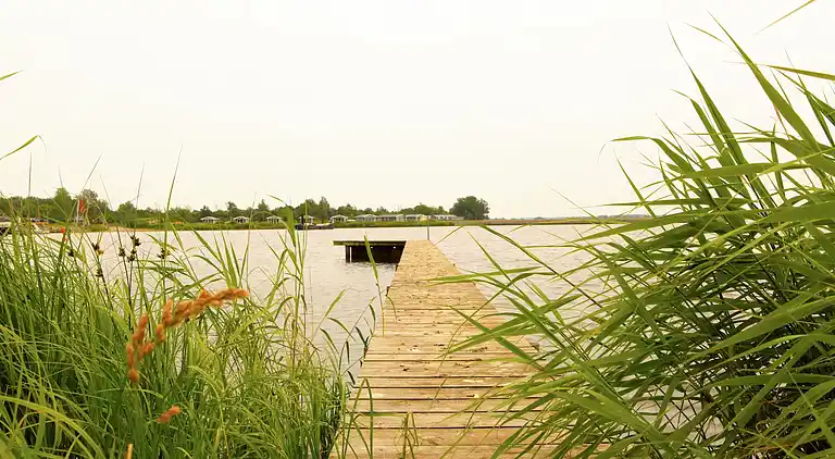 Apartment in Lauwersoog
