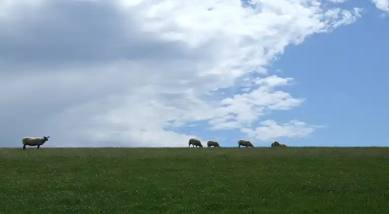Apartment in Lauwersoog