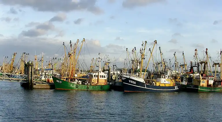 Apartment in Lauwersoog