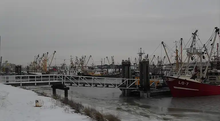 Apartment in Lauwersoog