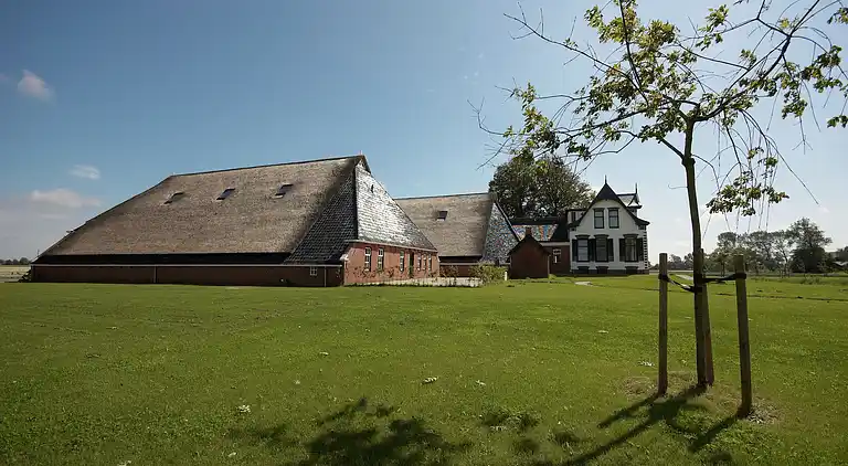 Farm house in Uithuizermeeden