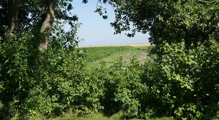 Holiday home in Warffum