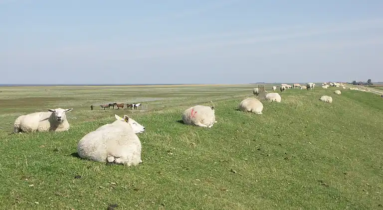 Holiday home in Warffum