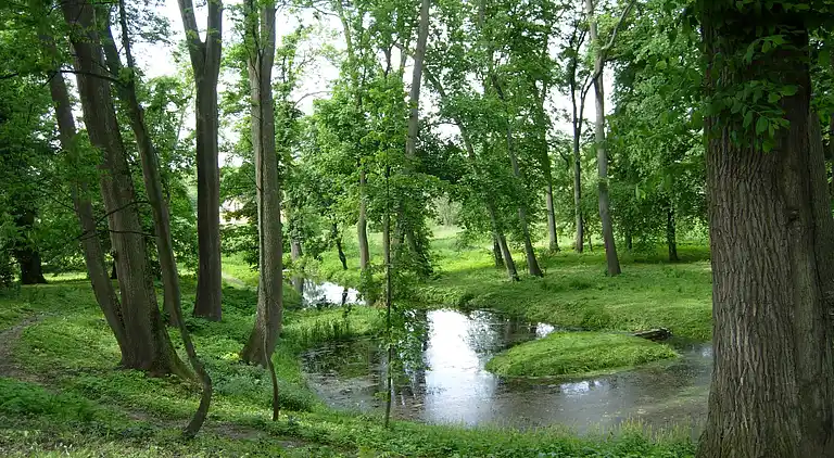 Ferielejlighed i Udrycze