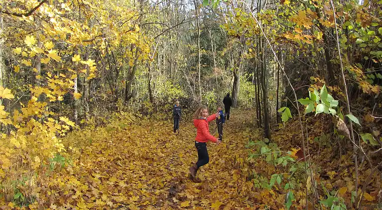 Holiday home in Chromiec