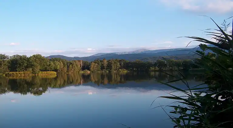 Holiday home in Przesieka