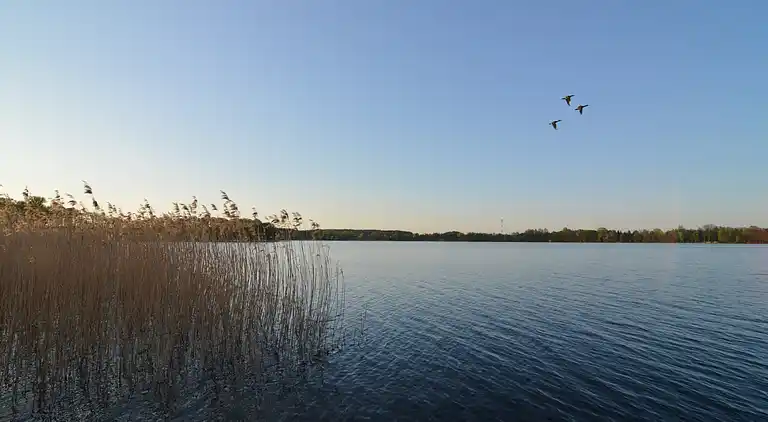 Villa in Borne Sulinowo