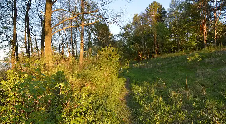 Villa in Borne Sulinowo