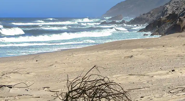 Villa in Salir do Porto