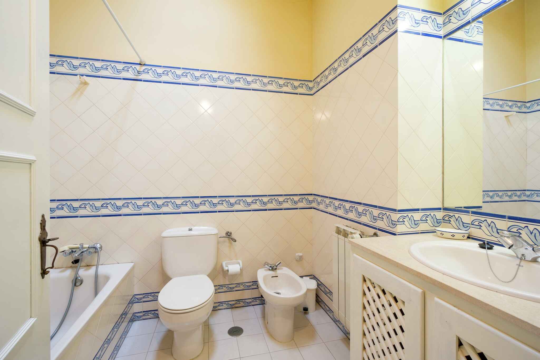 Large Image