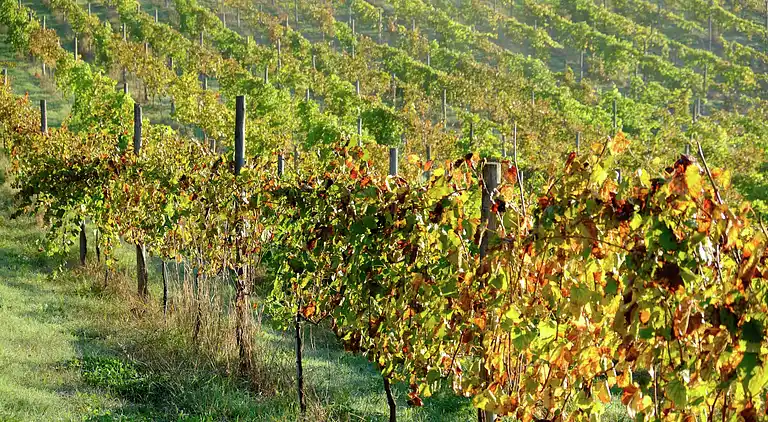 Mansione in Santa Cruz do Lima