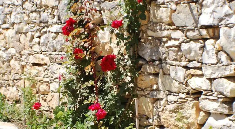 Holiday home in Outeiro da Moura