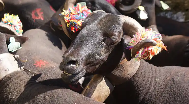 Holiday home in Covas