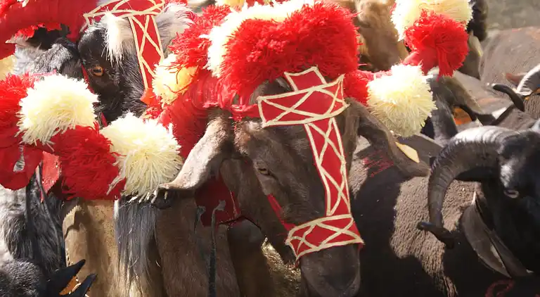 Holiday home in Covas