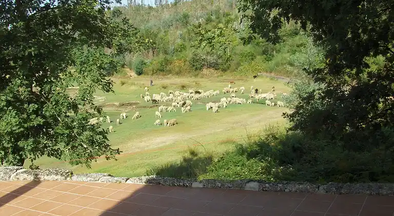 Herregård i Treixedo