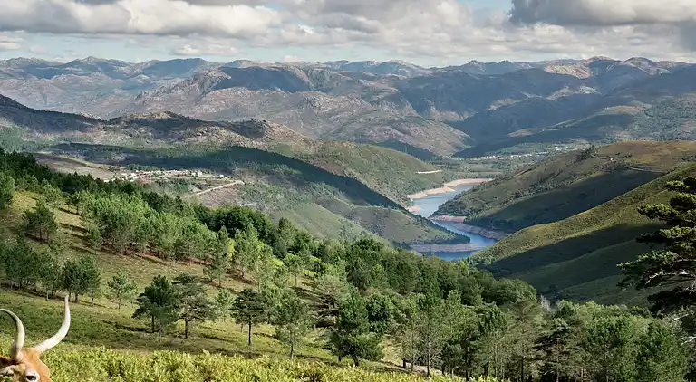 Casa señorial en Casal