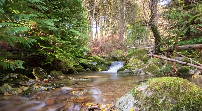 Casa señorial en Casal