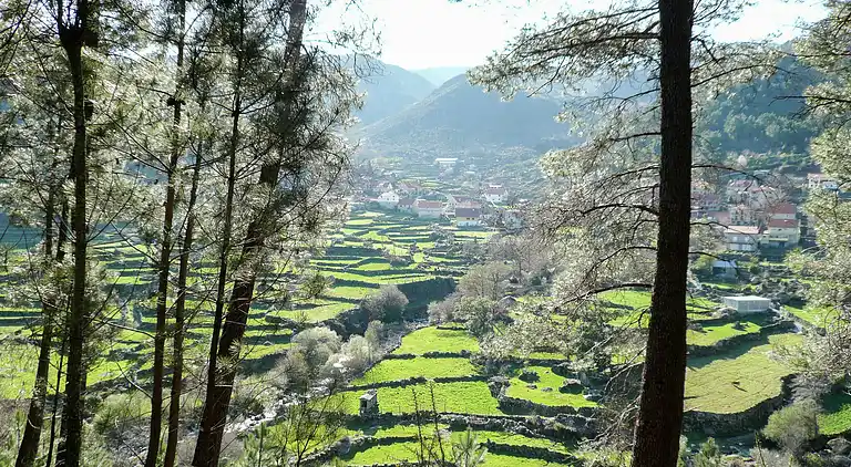 Casa señorial en Casal