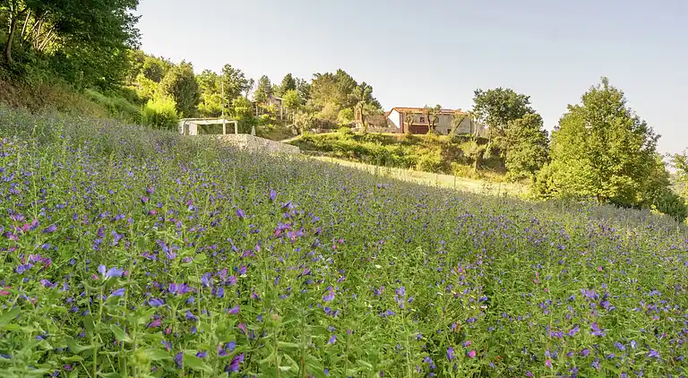 Manor house in Mourelo