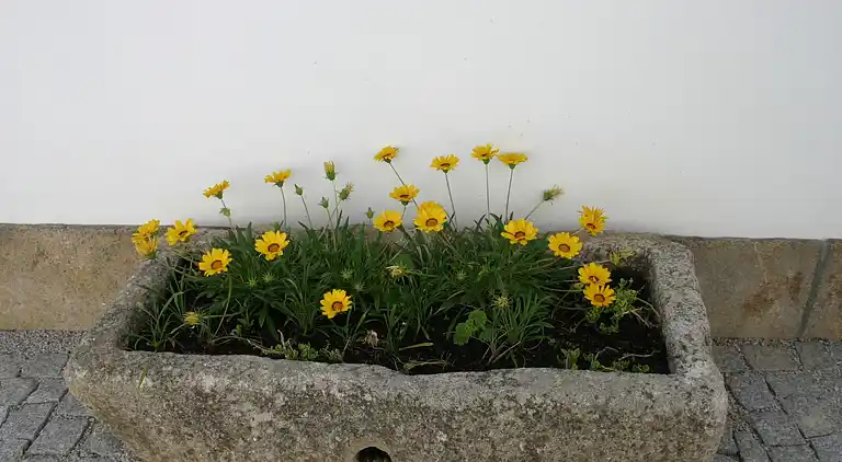 Cottage in Vila Flor