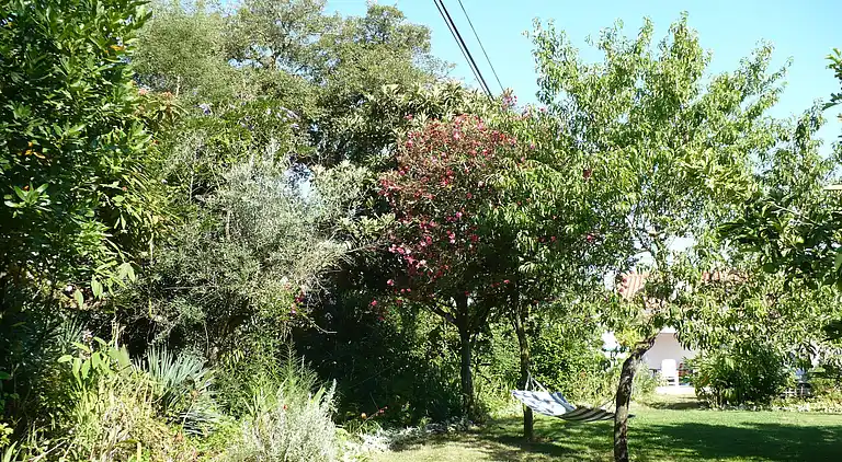 Holiday home in Couvela de São Mateus