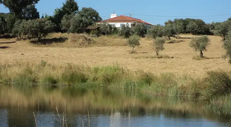 Holiday home in Couvela de São Mateus