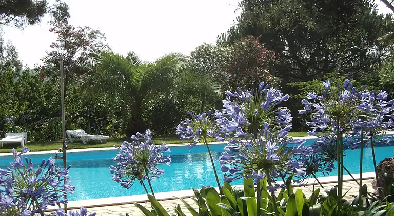 Holiday home in Couvela de São Mateus
