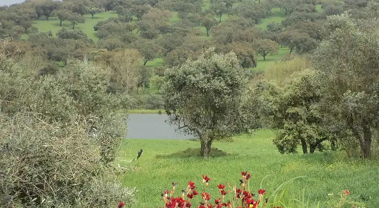 Holiday home in Couvela de São Mateus