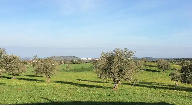 Holiday home in Couvela de São Mateus