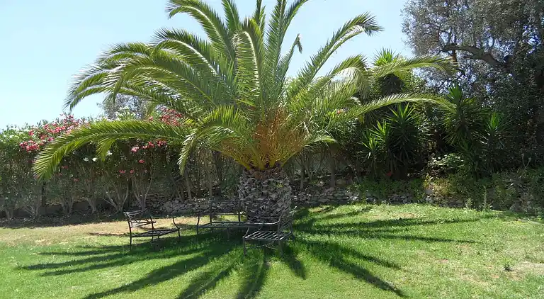 Villa in Monte Raposo