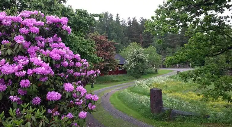 Holiday home in Valdemarsvik V